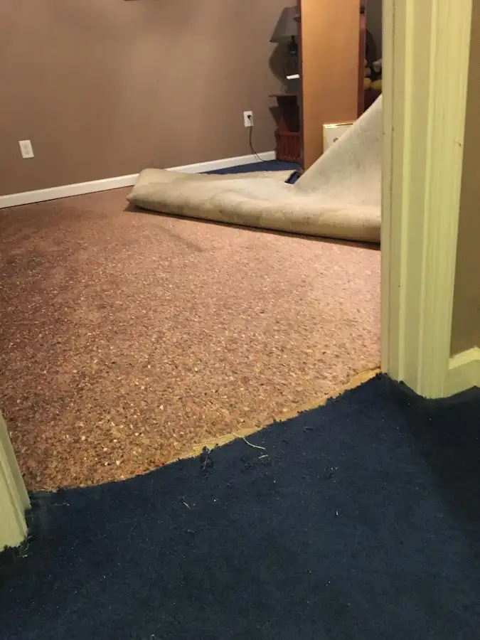 Carpet pad removal revealing water damage during Drying & Dehumidification in Shoreview