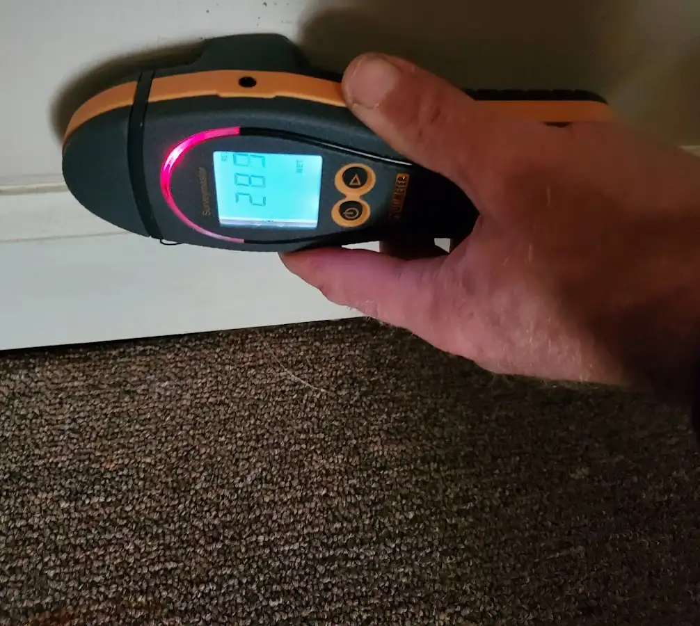 Moisture detection at baseboard during Storm Damage Restoration in Shoreview